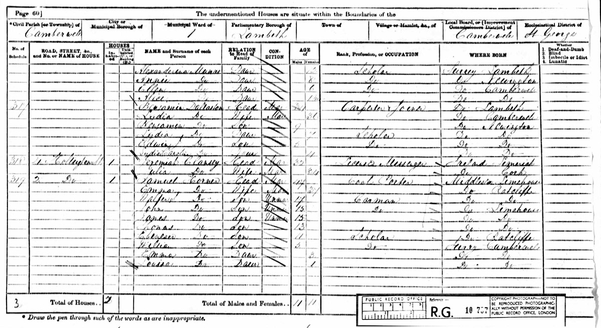 1871 census